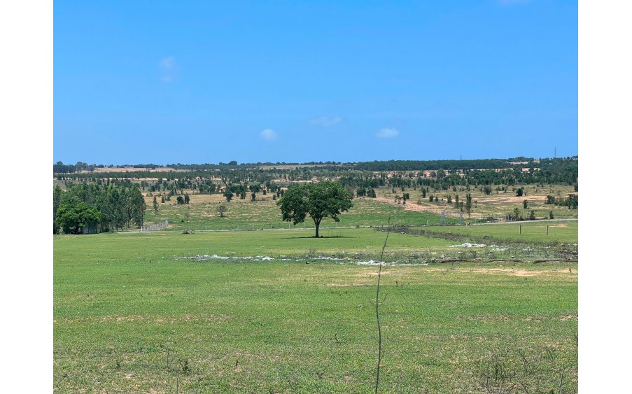 Chỉ 1,3 tỷ sổ hữu đất vườn xã Hòa Thắng 5.000m2 view Biển Bình Thuận, cách đường chỉ 330m. SHR